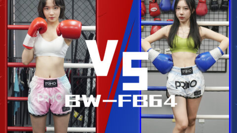 BW-FB64 Female Boxing Kong VS Mei